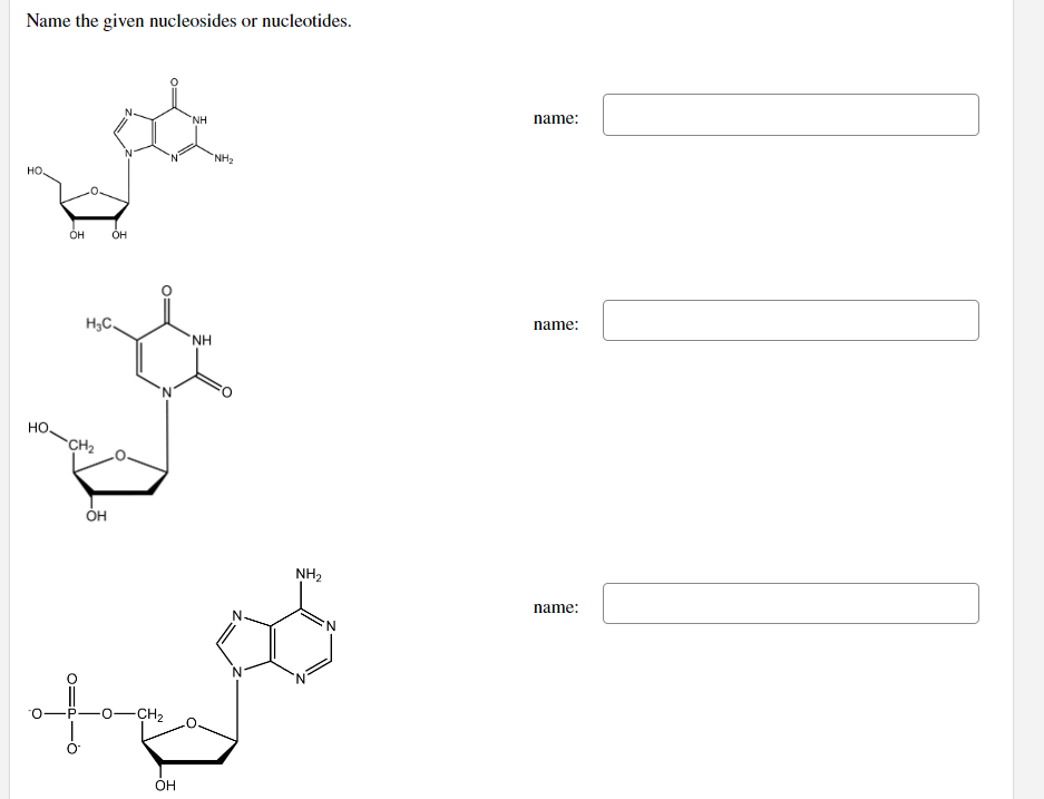 Name the given nucleosides or nucleotides.
HO
HO.
OH OH
H₂C.
CH₂
·Ò
OH
-CH₂
_ㅎ
NH
NH
"NH₂
N
NH₂
'N
name:
name:
name: