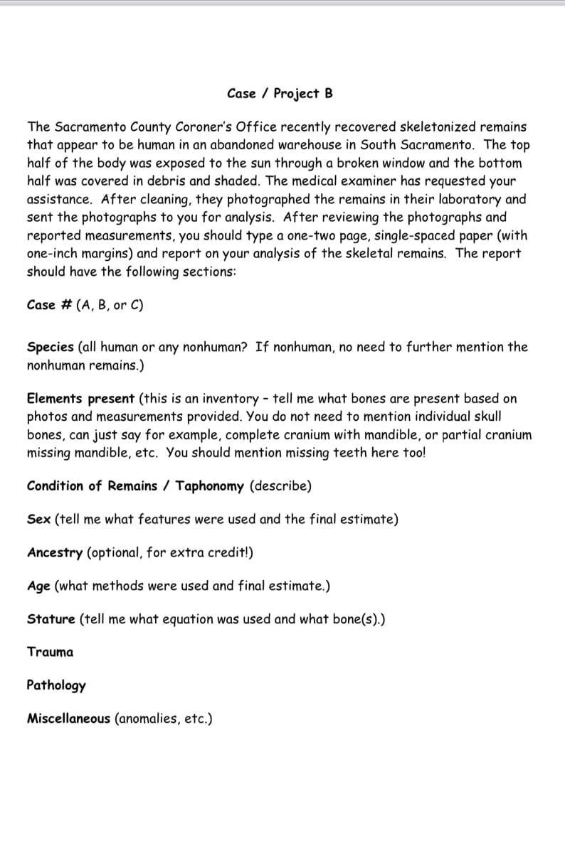 Case / Project B
The Sacramento County Coroner's Office recently recovered skeletonized remains
that appear to be human in an abandoned warehouse in South Sacramento. The top
half of the body was exposed to the sun through a broken window and the bottom
half was covered in debris and shaded. The medical examiner has requested your
assistance. After cleaning, they photographed the remains in their laboratory and
sent the photographs to you for analysis. After reviewing the photographs and
reported measurements, you should type a one-two page, single-spaced paper (with
one-inch margins) and report on your analysis of the skeletal remains. The report
should have the following sections:
Case # (A, B, or C)
Species (all human or any nonhuman? If nonhuman, no need to further mention the
nonhuman remains.)
Elements present (this is an inventory - tell me what bones are present based on
photos and measurements provided. You do not need to mention individual skull
bones, can just say for example, complete cranium with mandible, or partial cranium
missing mandible, etc. You should mention missing teeth here too!
Condition of Remains / Taphonomy (describe)
Sex (tell me what features were used and the final estimate)
Ancestry (optional, for extra credit!)
Age (what methods were used and final estimate.)
Stature (tell me what equation was used and what bone(s).)
Trauma
Pathology
Miscellaneous (anomalies, etc.)