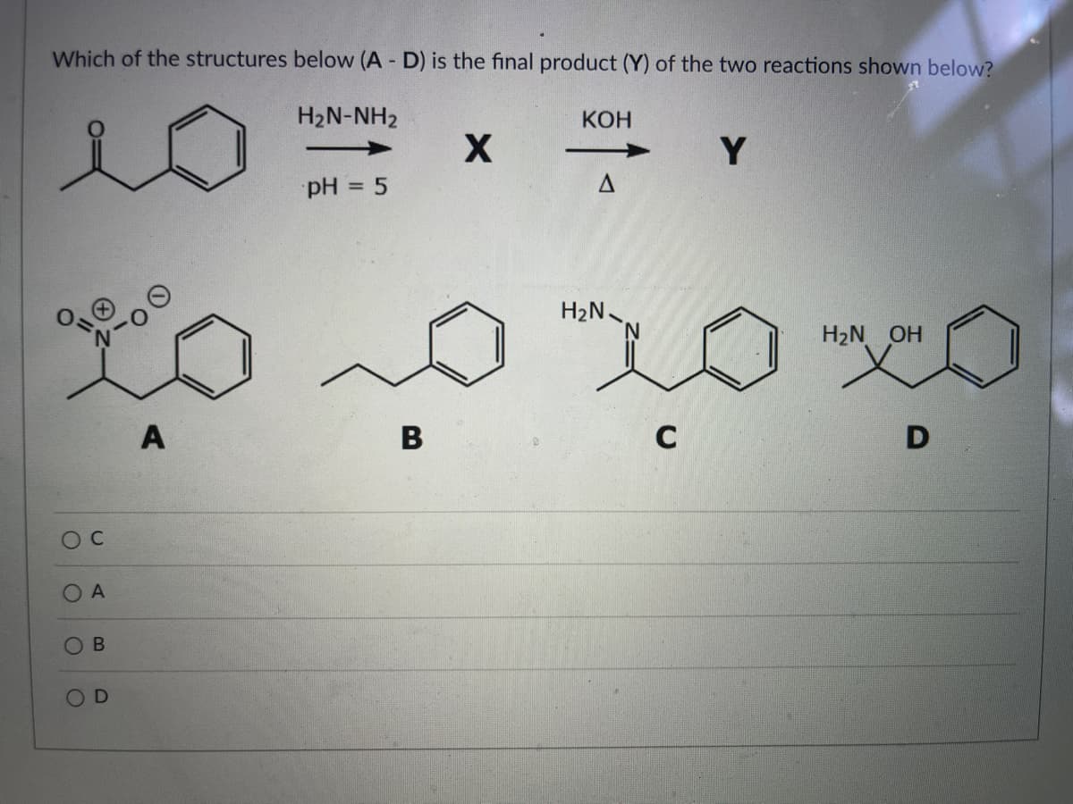 Which of the structures below (A - D) is the final product (Y) of the two reactions shown below?
H2N-NH2
10
O
C
A
B
A
PH = 5
B
X
KOH
H₂N
C
Y
H₂N OH
D