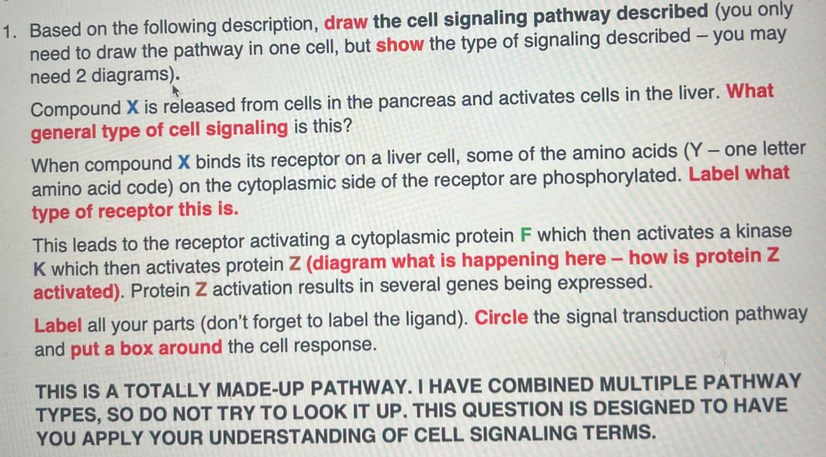 1. Based on the following description, draw the cell signaling pathway described (you only
need to draw the pathway in one cell, but show the type of signaling described - you may
need 2 diagrams).
Compound X is released from cells in the pancreas and activates cells in the liver. What
general type of cell signaling is this?
When compound X binds its receptor on a liver cell, some of the amino acids (Y - one letter
amino acid code) on the cytoplasmic side of the receptor are phosphorylated. Label what
type of receptor this is.
This leads to the receptor activating a cytoplasmic protein F which then activates a kinase
K which then activates protein Z (diagram what is happening here - how is protein Z
activated). Protein Z activation results in several genes being expressed.
Label all your parts (don't forget to label the ligand). Circle the signal transduction pathway
and put a box around the cell response.
THIS IS A TOTALLY MADE-UP PATHWAY. I HAVE COMBINED MULTIPLE PATHWAY
TYPES, SO DO NOT TRY TO LOOK IT UP. THIS QUESTION IS DESIGNED TO HAVE
YOU APPLY YOUR UNDERSTANDING OF CELL SIGNALING TERMS.