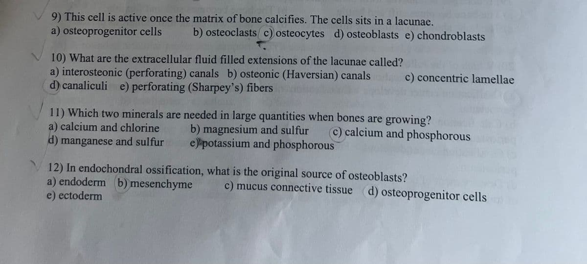 9) This cell is active once the matrix of bone calcifies. The cells sits in a lacunae.
a) osteoprogenitor cells b) osteoclasts (c) osteocytes d) osteoblasts e) chondroblasts
10) What are the extracellular fluid filled extensions of the lacunae called?
a) interosteonic (perforating) canals b) osteonic (Haversian) canals
d) canaliculi e) perforating (Sharpey's) fibers
c) concentric lamellae
11) Which two minerals are needed in large quantities when bones are growing?
a) calcium and chlorine
d) manganese and sulfur
b) magnesium and sulfur c) calcium and phosphorous
e) potassium and phosphorous
12) In endochondral ossification, what is the original source of osteoblasts?
a) endoderm (b) mesenchyme
e) ectoderm
c) mucus connective tissue (d) osteoprogenitor cells