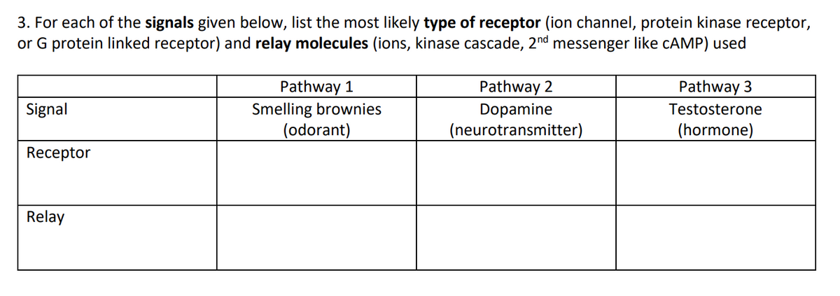 3. For each of the signals given below, list the most likely type of receptor (ion channel, protein kinase receptor,
or G protein linked receptor) and relay molecules (ions, kinase cascade, 2nd messenger like CAMP) used
Signal
Receptor
Relay
Pathway 1
Smelling brownies
(odorant)
Pathway 2
Dopamine
(neurotransmitter)
Pathway 3
Testosterone
(hormone)