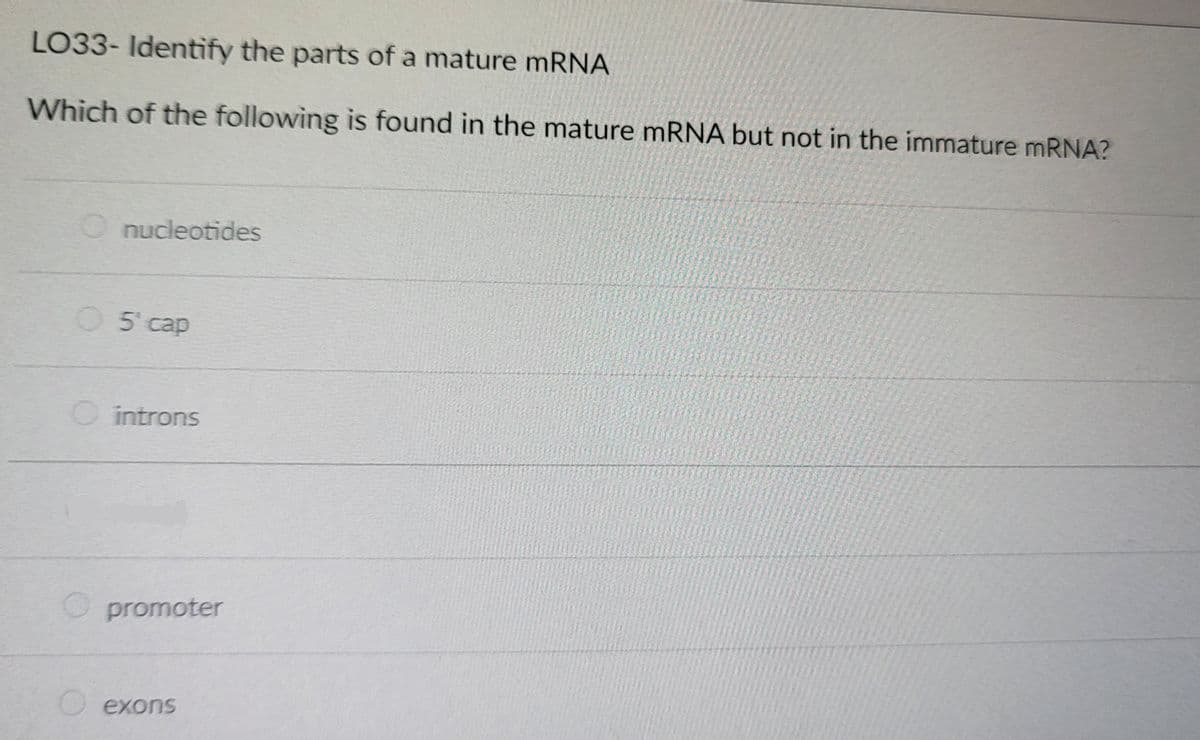 LO33- Identify the parts of a mature mRNA
Which of the following is found in the mature mRNA but not in the immature mRNA?
O nucleotides
O 5' cap
O introns
promoter
O exons
to car