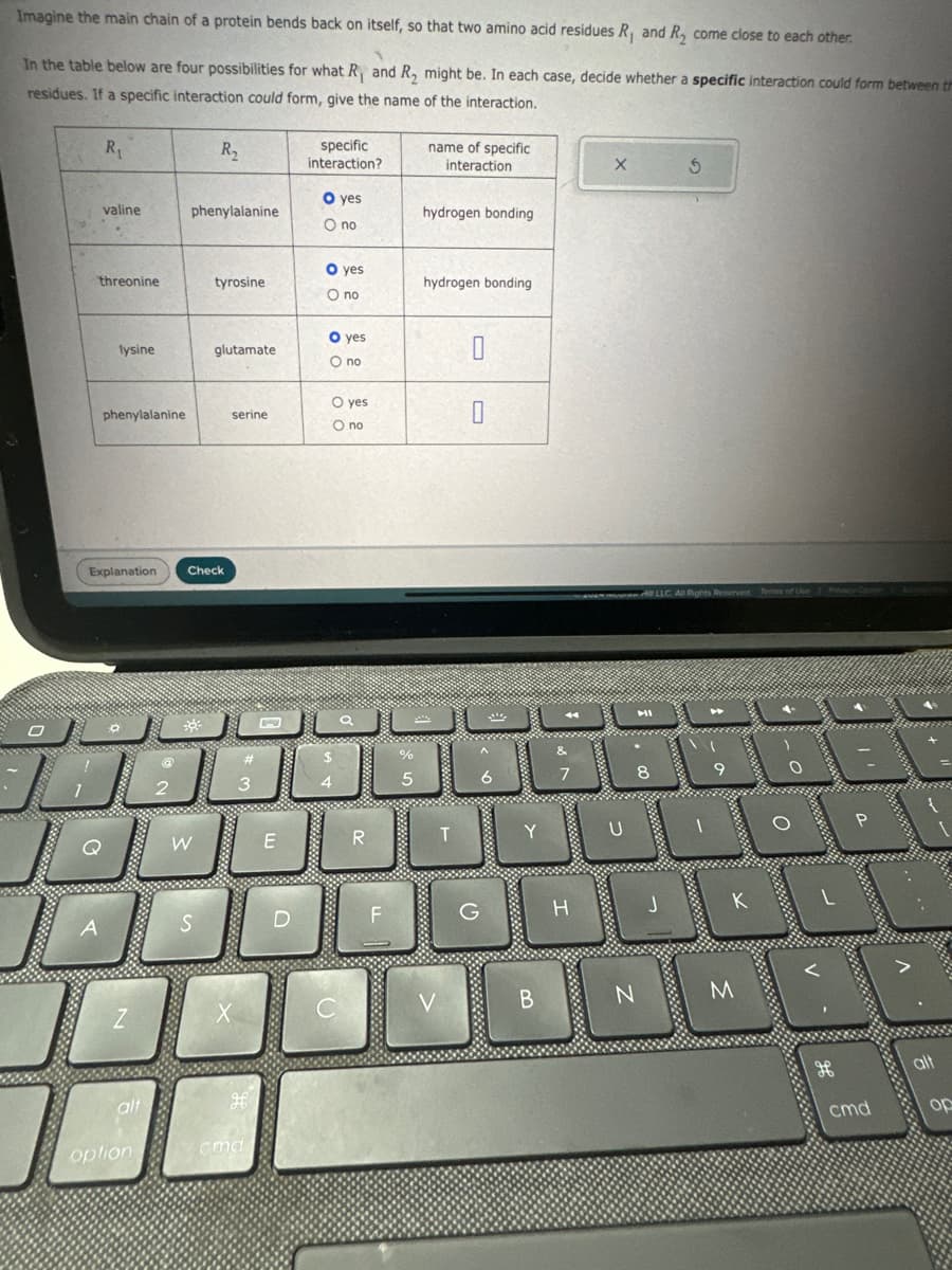 Imagine the main chain of a protein bends back on itself, so that two amino acid residues R, and R₂ come close to each other.
In the table below are four possibilities for what R, and R₂ might be. In each case, decide whether a specific interaction could form between th
residues. If a specific interaction could form, give the name of the interaction.
R₁
R₂
specific
interaction?
name of specific
interaction
X
5
O yes
valine
phenylalanine
hydrogen bonding
O no
O yes
threonine
tyrosine
hydrogen bonding
O no
O yes
lysine
glutamate
O no
phenylalanine
serine
O yes
О по
O
Explanation
Check
3
W
E
R
%
5
7
8
LLC. All Rights Reserved Terms of Use
Privacy Comer
G
H
K
Z
X
V
B
N
M
alt
H
option
cmd
P
H
alt
cmd
op