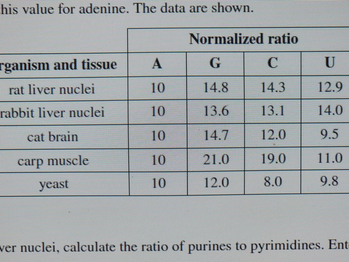 his value for adenine. The data are shown.
rganism and tissue
rat liver nuclei
rabbit liver nuclei
cat brain
carp muscle
yeast
A
10
10
10
10
10
Normalized ratio
G
C
14.8
14.3
13.6
13.1
14.7
12.0
21.0
19.0
12.0
8.0
U
12.9
14.0
9.5
11.0
9.8
ver nuclei, calculate the ratio of purines to pyrimidines. Ent
